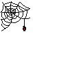 [moving spider and web]